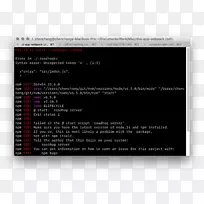 ��װ���Ѿ�npm���������н���-�Ա����-������