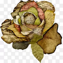 生物叶树动物点缀-空若网 生物叶树动物点缀-空若网