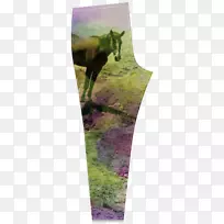 Þ¹Ò²Ý×ÏÂÞÀ¼×ÏÍÈ.Ë®²ÊÂí-¿ÕÈôÍø Þ¹Ò²Ý×ÏÂÞÀ¼×ÏÍÈ.Ë®²ÊÂí-¿ÕÈôÍø