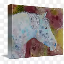 Ë®²Ê»ÂíÒÕÊõË®²Ê»Âí-¿ÕÈôÍø Ë®²Ê»ÂíÒÕÊõË®²Ê»Âí-¿ÕÈôÍø