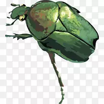 �׳�-�׳�-������