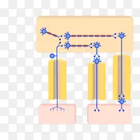 ������ϵͳ����Χ��ϵͳ����������ϵͳ��������ϵͳ-������ϵͳ-������