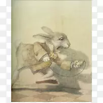 爱丽丝在仙境中的冒险和透过镜子描绘的爱丽丝白兔-空若网 爱丽丝在仙境中的冒险和透过镜子描绘的爱丽丝白兔-空若网