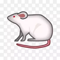 电脑鼠标表情短信猫掌-空若网 电脑鼠标表情短信猫掌-空若网