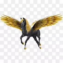 飞马桌面壁纸马独角兽-飞马剪贴画-空若网 飞马桌面壁纸马独角兽-飞马剪贴画-空若网