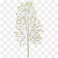 ľ��ֲ�ﾥ����-��ѿ-������