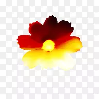 木槿花瓣开花植物-漂浮花-空若网 木槿花瓣开花植物-漂浮花-空若网