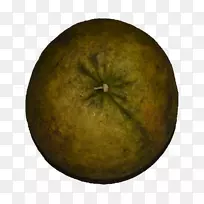 喀拉拉邦柚子果苦橙-东南亚-空若网 喀拉拉邦柚子果苦橙-东南亚-空若网