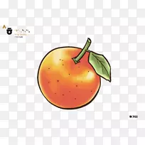 ʳƷ��ʢѧԺ�����߲�-���˵�-������