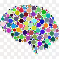 人工智能白岩研究神经科学-空若网 人工智能白岩研究神经科学-空若网