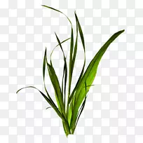 下载剪贴画-牧场剪贴画-空若网 下载剪贴画-牧场剪贴画-空若网