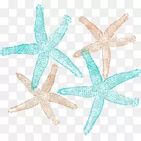 海星剪贴画.海报装饰材料-空若网 海星剪贴画.海报装饰材料-空若网