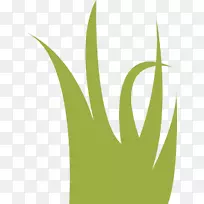 Ò¶±ê²ÝºþÑÂ-¿ÕÈôÍø Ò¶±ê²ÝºþÑÂ-¿ÕÈôÍø