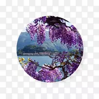 科莫湖餐厅美食厨师美食聚会活动-空若网 科莫湖餐厅美食厨师美食聚会活动-空若网