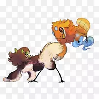 猫食肉动物-空若网 猫食肉动物-空若网