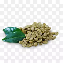 绿咖啡提取物绿茶-局部减肥-空若网 绿咖啡提取物绿茶-局部减肥-空若网