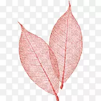 Naver博客信息-RSS-空若网 Naver博客信息-RSS-空若网