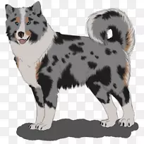 卡雷利亚熊狗冰岛牧羊犬拉普尼亚牧羊犬培育西伯利亚哈士奇狗这只狗正在支付新年召唤。-空若网 卡雷利亚熊狗冰岛牧羊犬拉普尼亚牧羊犬培育西伯利亚哈士奇狗这只狗正在支付新年召唤。-空若网