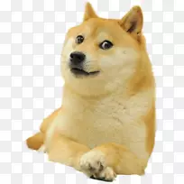 Dogecoin shiba Inu-��ֻ������֧������绰��-������