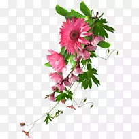 博客剪贴画-真花-空若网 博客剪贴画-真花-空若网