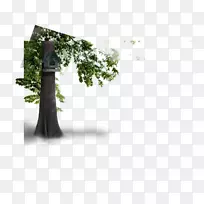 Ê÷³²Äñ³²-¿ÕÈôÍø Ê÷³²Äñ³²-¿ÕÈôÍø