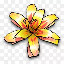 ������-�仨-������