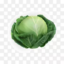 大白菜蔬菜大白菜菠菜蔬菜-空若网 大白菜蔬菜大白菜菠菜蔬菜-空若网