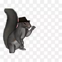 啮齿动物松鼠有袋动物-四月一日海报-空若网 啮齿动物松鼠有袋动物-四月一日海报-空若网