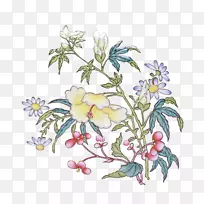 菊花载体-菊花-空若网 菊花载体-菊花-空若网