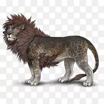 狮子座月光石宝石斑驳-空若网 狮子座月光石宝石斑驳-空若网