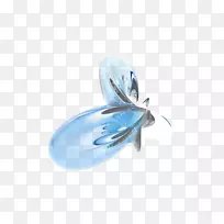 蝴蝶昆虫传粉器钴蓝高清晰度-空若网 蝴蝶昆虫传粉器钴蓝高清晰度-空若网