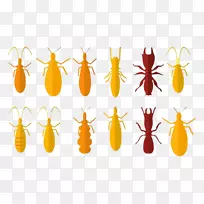 À¥³æó¬ó°.»Æó«òë-¿ÕÈôÍø À¥³æó¬ó°.»Æó«òë-¿ÕÈôÍø