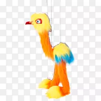 羽喙尾鸟-空若网 羽喙尾鸟-空若网