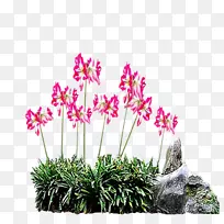 艺术插花画花卉设计-假山-空若网 艺术插花画花卉设计-假山-空若网