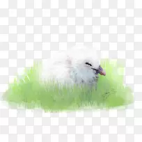 Ë®Äñà¹Óð¶¯Îï.º£Å¸-¿ÕÈôÍø Ë®Äñà¹Óð¶¯Îï.º£Å¸-¿ÕÈôÍø