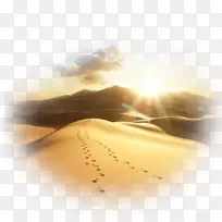 ���벩�ͼ�������-ɳĮ������Ӱ-������