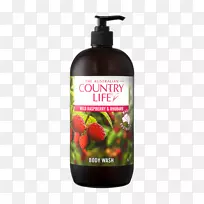 澳大利亚淋浴器凝胶口香糖洗手香皂-空若网 澳大利亚淋浴器凝胶口香糖洗手香皂-空若网