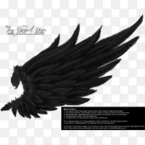 画天使翅膀摄影艺术-天真-空若网 画天使翅膀摄影艺术-天真-空若网