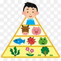 食物链营养摄入有机体-食物金字塔-空若网 食物链营养摄入有机体-食物金字塔-空若网