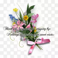 �л���������ƣ����ܻ���-ˮ����-������