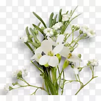 切花,花卉设计,花卉花束-水稻穗-空若网 切花,花卉设计,花卉花束-水稻穗-空若网