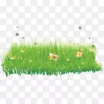 С²ÝSWF-Àî×Ó14 2 1-¿ÕÈôÍø С²ÝSWF-Àî×Ó14 2 1-¿ÕÈôÍø