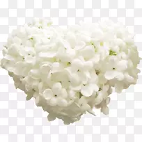 图标-心紫丁香-空若网 图标-心紫丁香-空若网