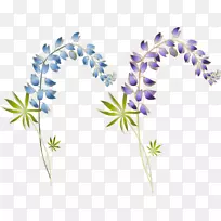 花卉设计-紫丁香-两丁香-空若网 花卉设计-紫丁香-两丁香-空若网