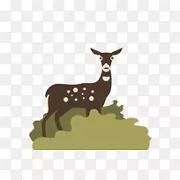 �����������ѧ���＼��-����-������