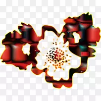 开花植物花瓣食物字体-71-空若网 开花植物花瓣食物字体-71-空若网