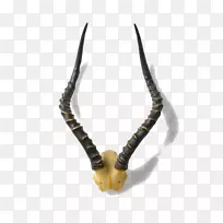 鹿角动物产品鹿角下巴.角的标志-空若网 鹿角动物产品鹿角下巴.角的标志-空若网
