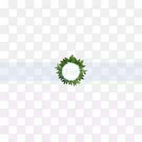 切花植物茎草-17-空若网 切花植物茎草-17-空若网