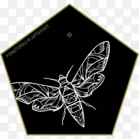 昆虫蝴蝶传粉者无脊椎动物节肢动物几何遮荫-空若网 昆虫蝴蝶传粉者无脊椎动物节肢动物几何遮荫-空若网