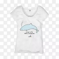 t��ñ������-��̼����-������